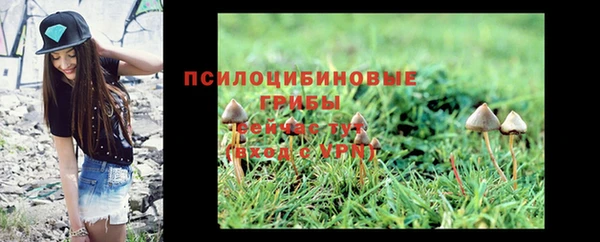 трава Абинск