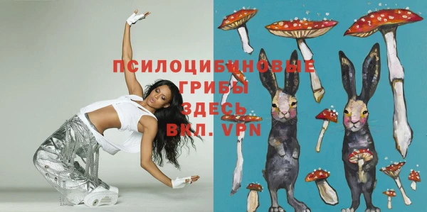 ECSTASY Алексин
