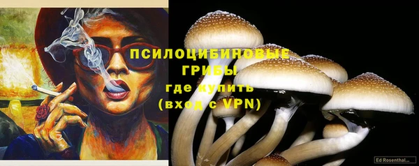 Альфа ПВП Абаза